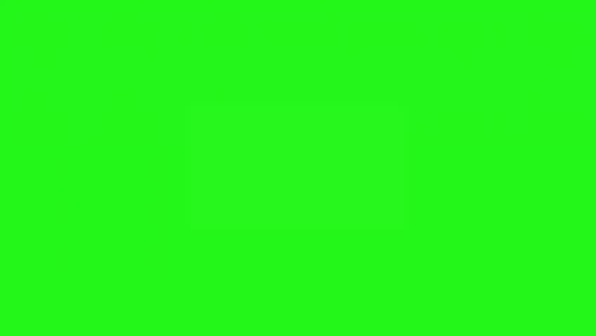 Shutterstock Video