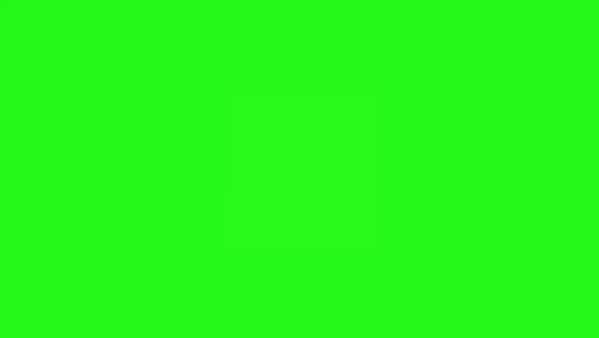 Shutterstock Video