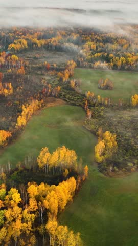 Beautiful dawn aerial shot of sunlight shining thought the trees and low fog in Minnesota in the autumn. Trees are turning their fall colors. Vertical video.