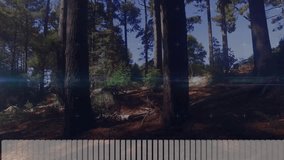 three tall pine trunks being visualized in forest clearing, showing translucent HUD overlays. Nature, wilderness, technology, augmented reality, ecosystem, data visualization, outdoor - Powered by Shutterstock - Get 15% off with code: PIKWIZARD15