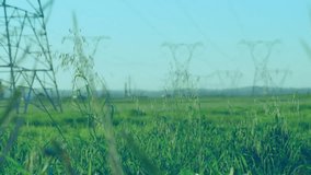 Displaying stock charts over grassy field and tower, blending candle bars with blue green red lines. Greenery, finance, digital, analytics, industry, sustainability, outdoor - Powered by Shutterstock - Get 15% off with code: PIKWIZARD15