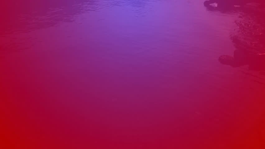 Shutterstock Video