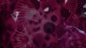 Semi-transparent globe rotating above dotted Americas, connecting lines with nodes and DNA strands. Technology, innovation, connectivity, cybersecurity, healthcare, data analytics, futuristic - Powered by Shutterstock - Get 15% off with code: PIKWIZARD15