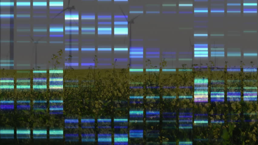 Wind turbines rotating over yellow flowering field, glitch art overlay creating blue cyan grid. Renewable, sustainability, digital, abstract, energy, landscape, modern