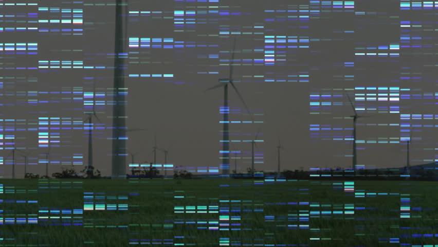 Shutterstock Video