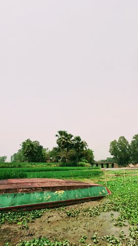 A landscape featuring a boat resting on the muddy bank of a water body, possibly a river or a large pond, with lush greenery in the background.