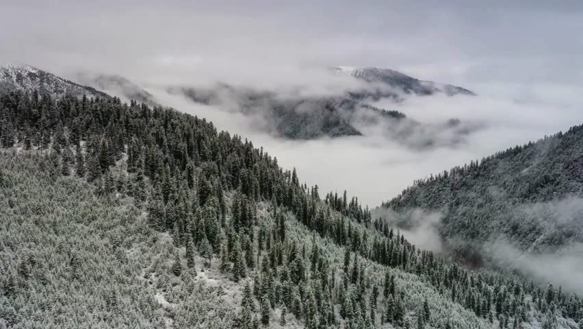Aerial View of Snow-Covered Mountain Forest in Fog
