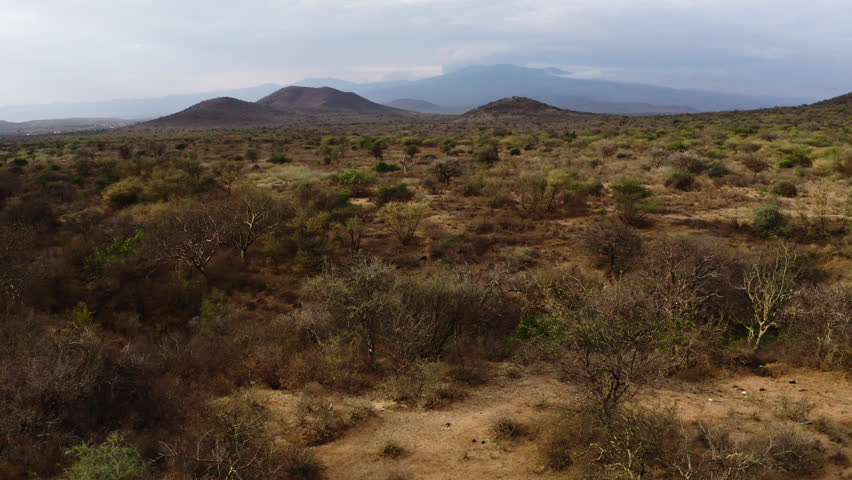 Aerial view of a Maasai village with traditional huts set in a vast savannah, depicting rural life in zanziabr .