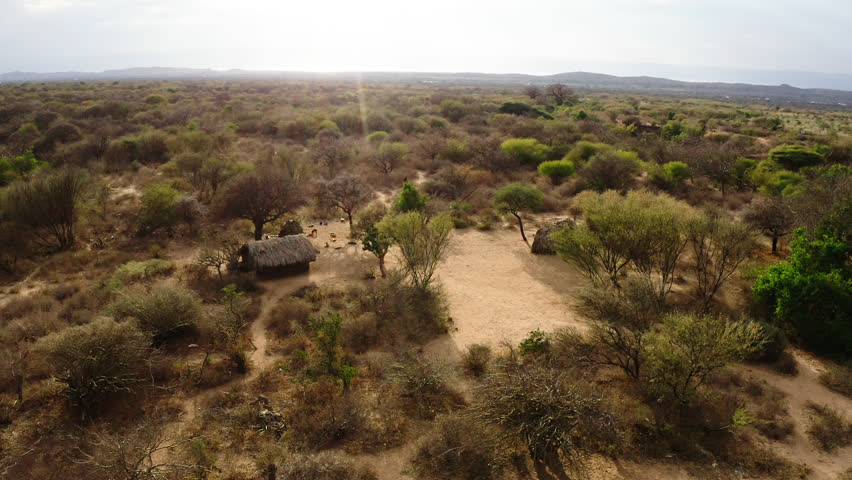 Aerial view of a Maasai village with traditional huts set in a vast savannah, depicting rural life in zanziabr .