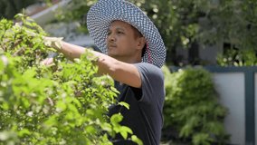 Middle-aged man wearing a blue wide-brimmed hat to protect himself from the sun is using pruning shears in a garden, with different poses and angles. Senior gardening concept. green garden background - Powered by Shutterstock - Get 15% off with code: PIKWIZARD15