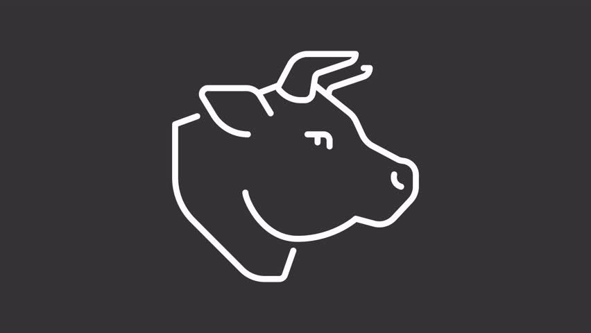 Animated beef line white line icon. Farm animal animation. Shaking head, moving ears. Livestock farming, mammal. Meat production. Isolated element on dark background. Alpha transparent video