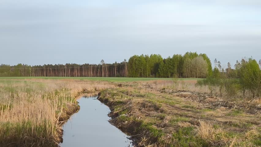 Spring landscape. Nature wakes up after winter. A narrow river flows in the field, and in the distance a moose runs out after drinking. Agriculture. Global warming