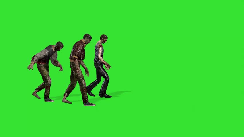 Shutterstock Video