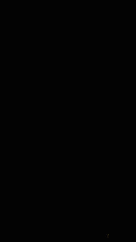 Shutterstock Video