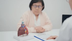 Doctor with Respiratory system. Elderly Patient consultation medical health for Lung Cancer, Asthma, Chronic Obstructive Pulmonary, Bronchitis, Emphysema, Cystic Fibrosis, Bronchiectasis, Pneumonia - Powered by Shutterstock - Get 15% off with code: PIKWIZARD15