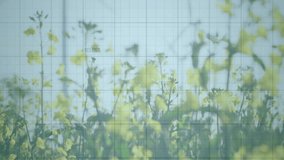 Financial data overlay showing rising colored line graphs on light blue grid over wind farm. Data, analytics, visualization, sustainability, renewable, environment, technology - Powered by Shutterstock - Get 15% off with code: PIKWIZARD15