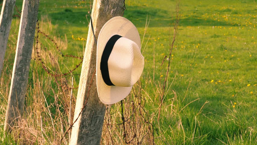 Straw hat hanging in summer meadow medium panning 4k shot selective focus