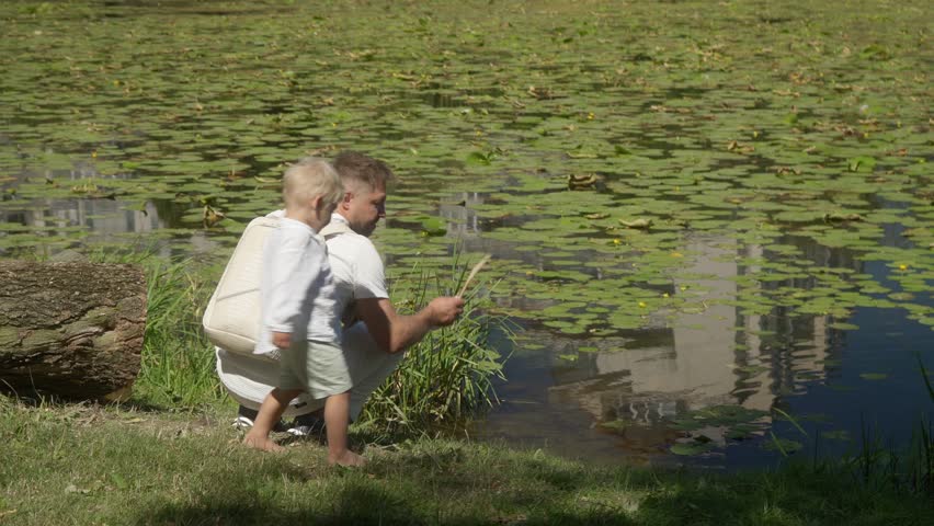 A young father and his little son play by a pond covered with water lilies on a sunny summer day. The father, crouching, shows the child how to throw sticks to make them fly far into the water.