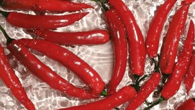 Fresh hot chili peppers falling into the water top view, splashing water, slow motion. - Powered by Shutterstock - Get 15% off with code: PIKWIZARD15