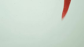 Artistic Food Composition Chilies Peppers in Clean Water Slow Motion - Powered by Shutterstock - Get 15% off with code: PIKWIZARD15