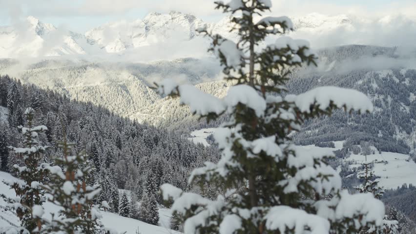 The peaks of the Alps glow softly, overlooking a sea of snow-draped trees and rolling terrain. parallax video.