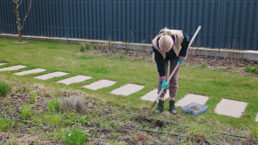 Middle-aged woman weeding an overgrown flower bed in the backyard garden, struggling to remove stubborn weeds with a hand tool. High quality 4k footage