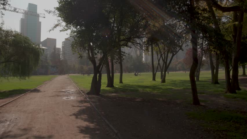 A serene morning in an urban park, showcasing sunlit trees and contrasting city buildings in the background.