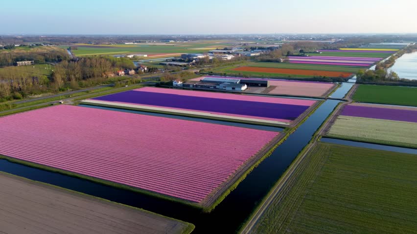 Aerial view of scenic farmland near the coast with colorful flower fields, dense forests, and circular ponds in a landscaped park. The North Sea is visible in the distance under a clear sky.
