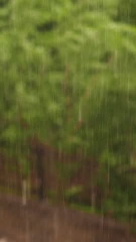 Spring day, thunderstorm in city, strong wind and rain, a downpour with hail. focus on big drops of rain, in city park green tops of trees bend from the strong gusts of the wind