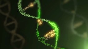 
 The DNA chain rotates in a helix.This video make a perfect concept for human DNA, microbiology, RNA protein, pharmaceutical health, genetics, stem cell research, healthcare, or the human genome. 
 - Powered by Shutterstock - Get 15% off with code: PIKWIZARD15
