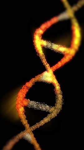 
 The DNA chain rotates in a helix.This video make a perfect concept for human DNA, microbiology, RNA protein, pharmaceutical health, genetics, stem cell research, healthcare, or the human genome. 
