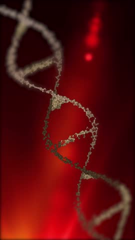 
 The DNA chain rotates in a helix.This video make a perfect concept for human DNA, microbiology, RNA protein, pharmaceutical health, genetics, stem cell research, healthcare, or the human genome. 
