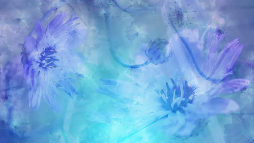 Blue And Purple Floral Background Video