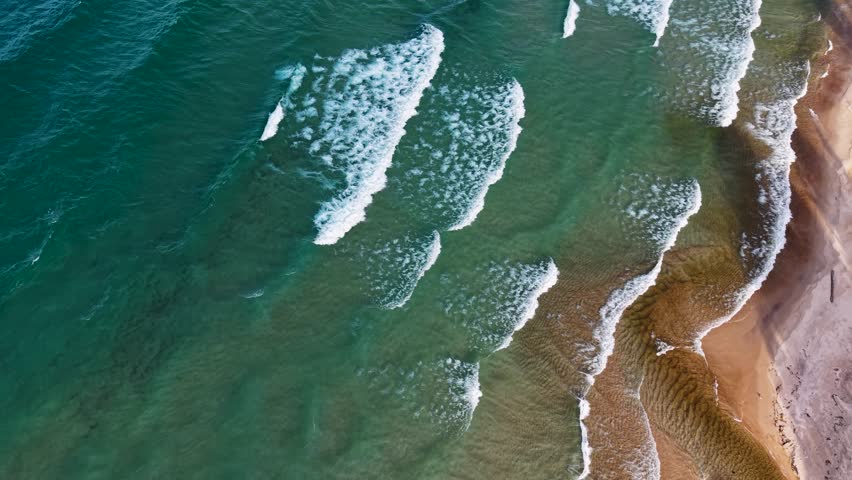 Lake Superior drone view of waves crashing along the curved shoreline with dense pine forest and sand dunes in autumn