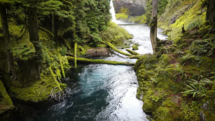 Shutterstock Video