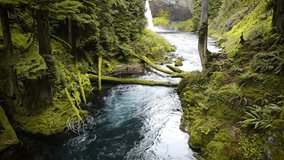 Aerial shot of the amazing Koosah Falls and lush moss covered forest on the McKenzie River in Oregon. - Powered by Shutterstock - Get 15% off with code: PIKWIZARD15