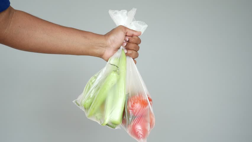 Holding a bag of fresh vegetables and fruits at home