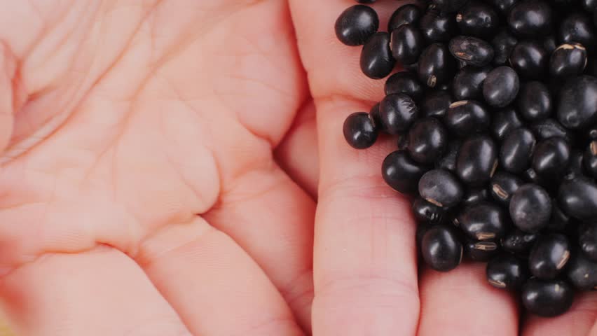 Black beans, seeds, nuts, grains, plants close up, raw chinese soy bean in supermarket, macro.