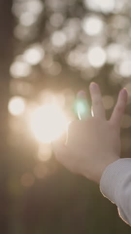 Woman covers sunlight with hand. Sun rays break through gaps between fingers of young woman walking in dense forest at sunset of summer day