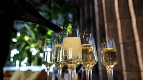 Pouring champagne into multiple glasses at a festive celebration, close-up view of sparkling wine being served at a luxury event with green plants and blurred background - Powered by Shutterstock - Get 15% off with code: PIKWIZARD15