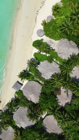 Aerial view of luxury tropical resort with villas and pools hidden in lush palm trees by the beach, paradise vacation in maldives, summer escape, eco island retreat