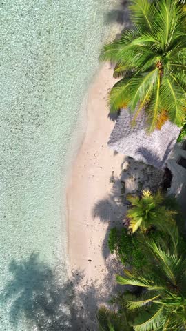 Tropical white sand beach with calm turquoise water and palm trees under blue sky, serene atmosphere for summer travel, hotel, resort, family vacation