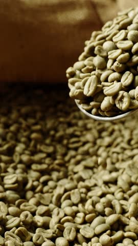 In a bustling roasting facility, workers pour fresh green coffee beans from bags, showcasing the beginning of the roasting process. The rich aroma fills the air with anticipation of flavor.