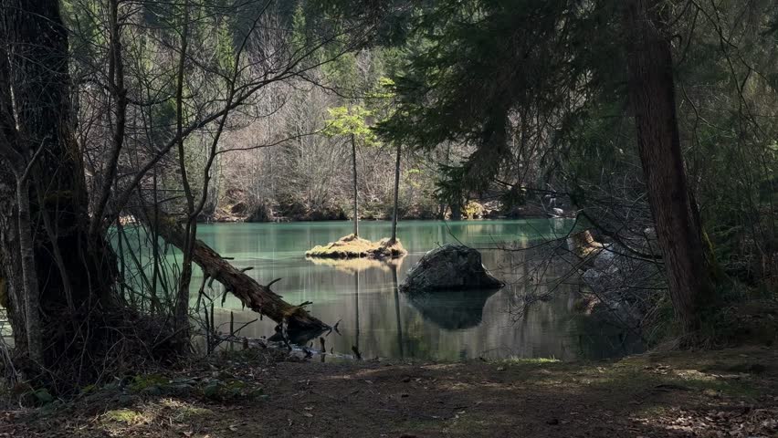 Crestasee Lake Cresta Switzerland nature forest trail Swiss natural fresh air
