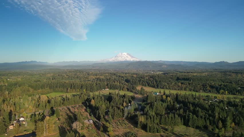 Aerial view of Mount Rainier rising over dense evergreen forest on a sunny day in the Pacific Northwest