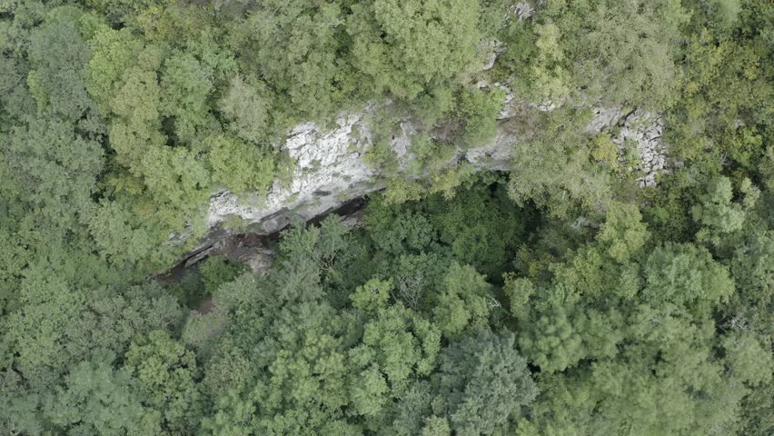 View of Zugarramurdi caves hidden by dense vegetation, Spain. Aerial drone top-down descending