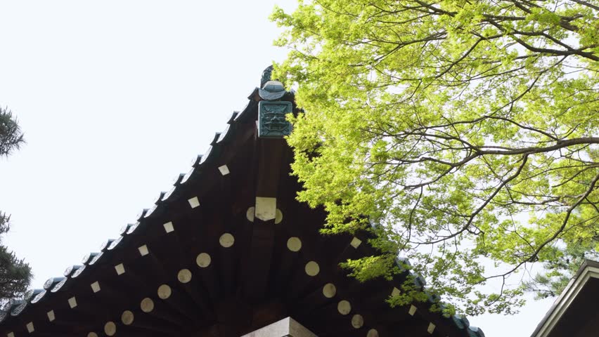 Traditional Korean Hanok Roof with Decorative Tiles and Spring Greenery, South Korea.