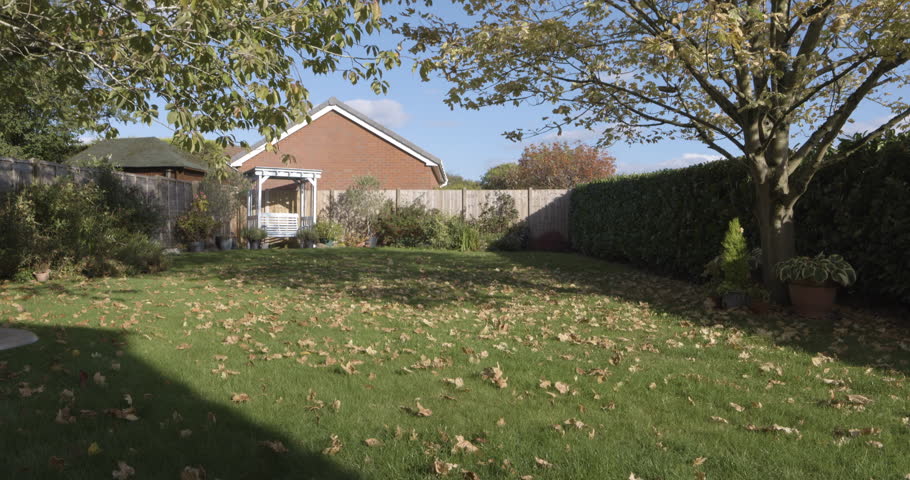 Backyard, plant bush or green garden in house, home or property perennial pea leaf in zen, calm or peace lawn. Nature landscape, empty gardening design or spring flower texture, grass growth or trees