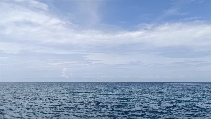 Shutterstock Video