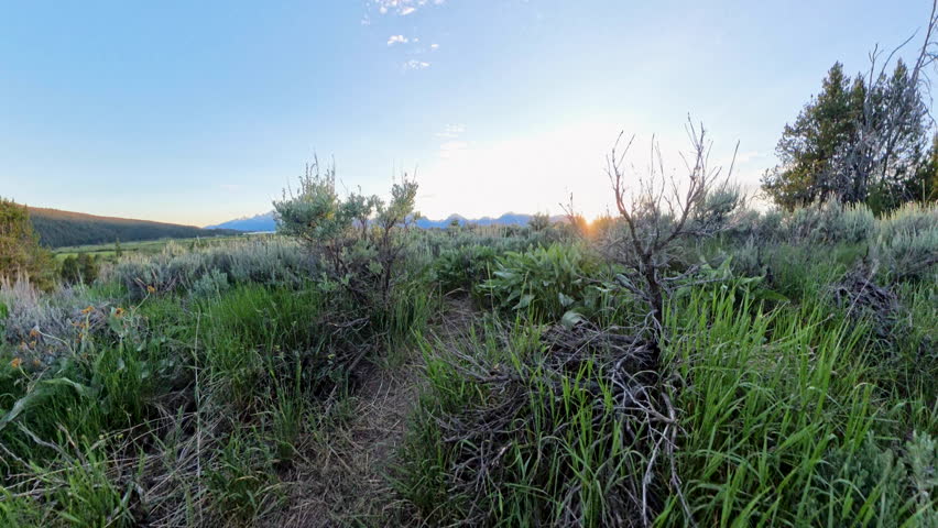 Rising Through Sage to Sunset Over the Teton Range In Grand Teton National Park